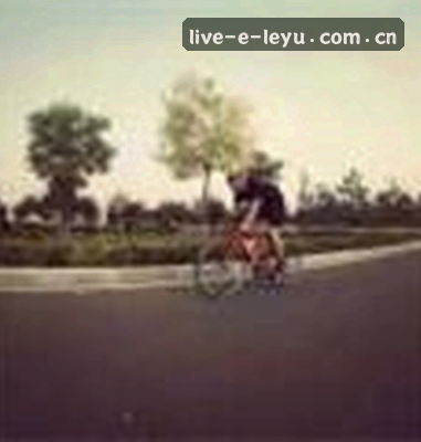 黄丽